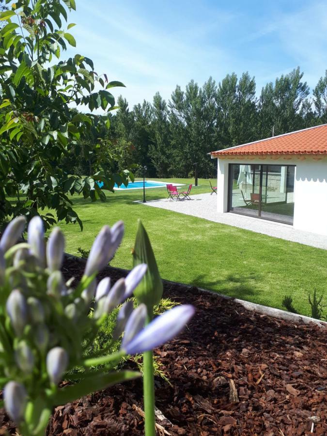 Quinta Do Rio Villa Fafe Exterior photo